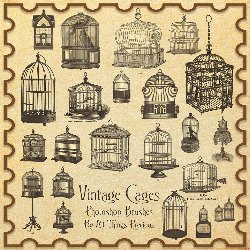 Vintage Bird Cages Brushes